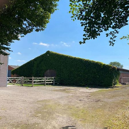 B&B De Vlierbeek Sint-Niklaas Eksteriør bilde
